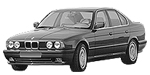BMW E34 P0BDD Fault Code